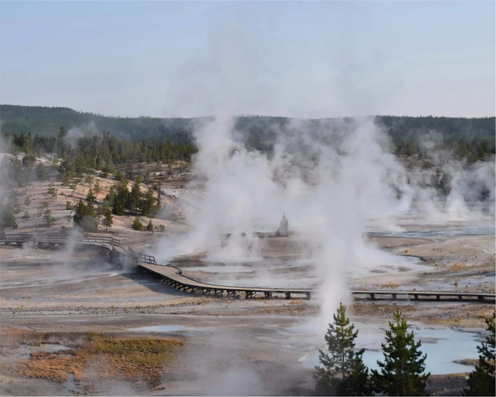 Perched along a hill looking out across the trail, there is steam coming off the ground flanking the trail on both sides and creating a very atmospheric environment.